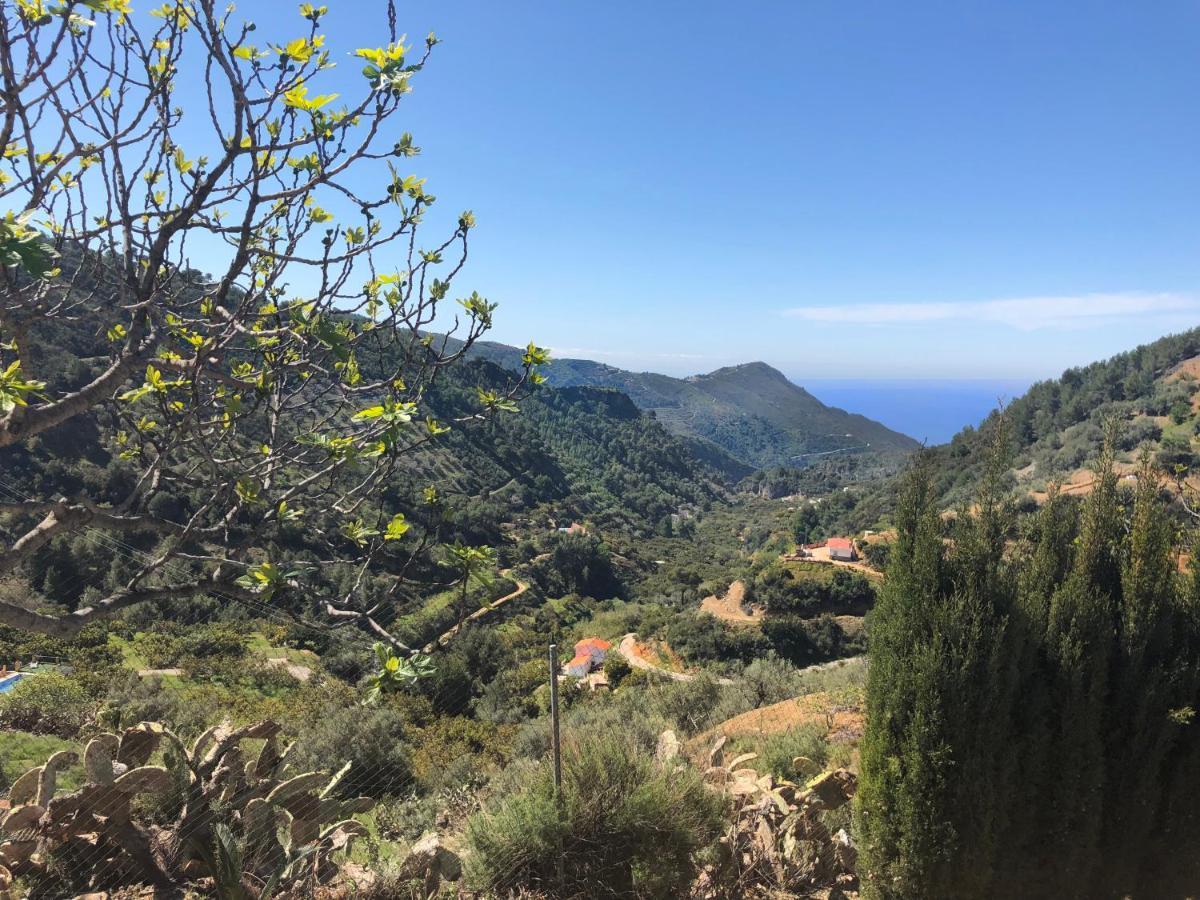 Cortijo Luque Nerja Exterior foto